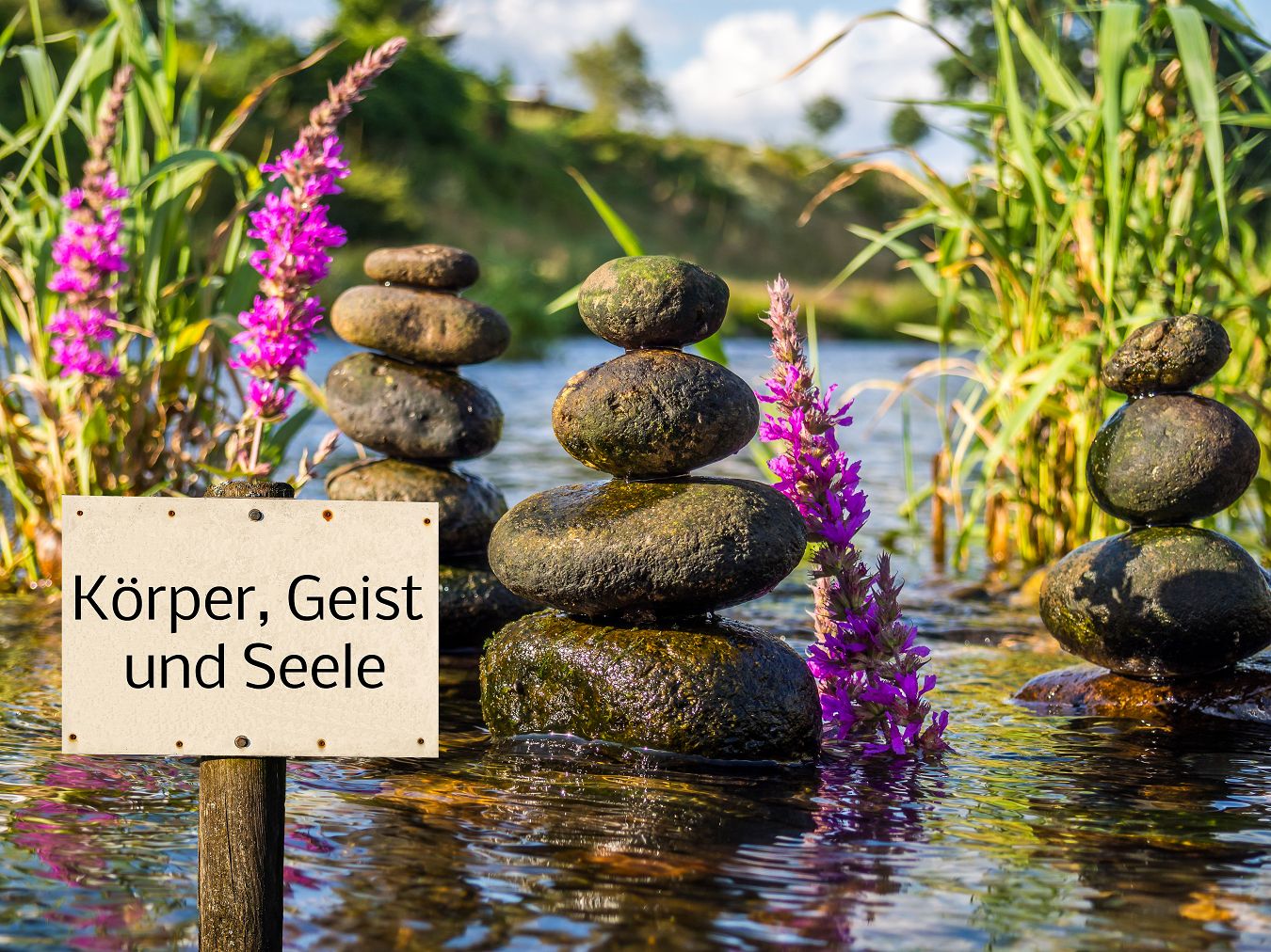 Therapeutisches Gespräch in gemütlichem Praxisraum zur Unterstützung der psychischen Gesundheit.